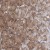 Immunohistochemistry-Paraffin: ABCF2 Antibody [NBP1-89316] - Immunohistochemical staining of human stomach shows moderate positivity in chief cells.